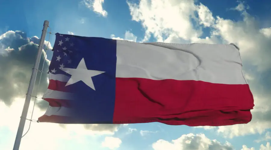 Texans Flag