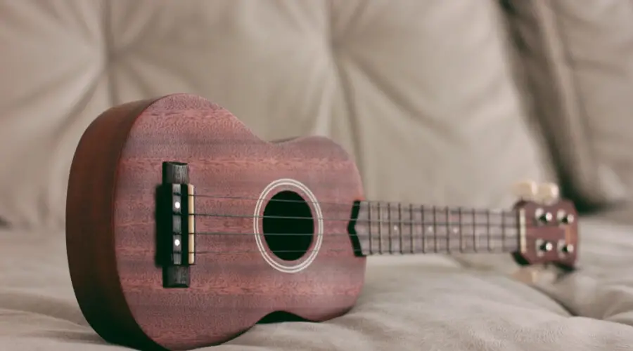 Best Ukuleles Brands In USA