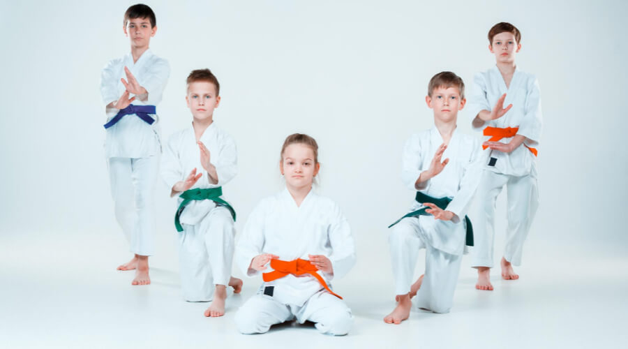 What Are Judo Schools