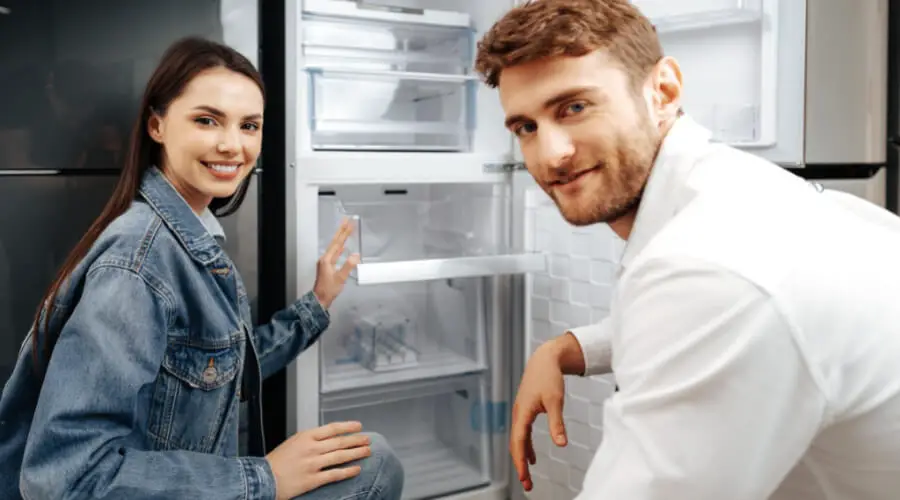 Key Features Of Japanese Refrigerator 
