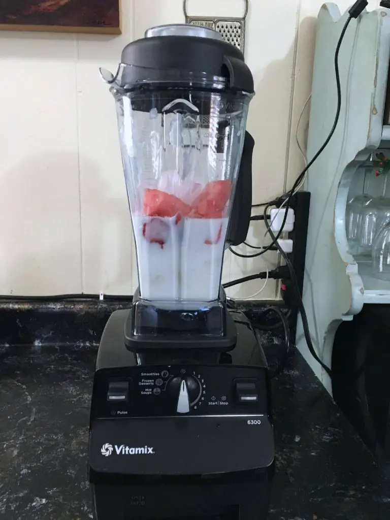 All You Need To Know About Vitamix