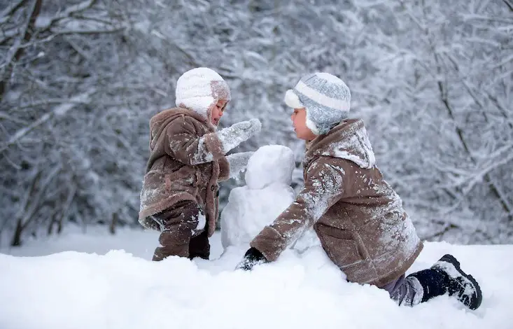 Does Los Angeles Get Snow